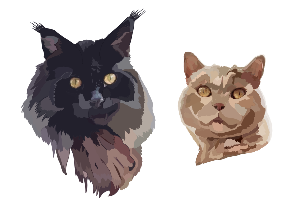 Dessin, numérique, chats, animal de compagnie