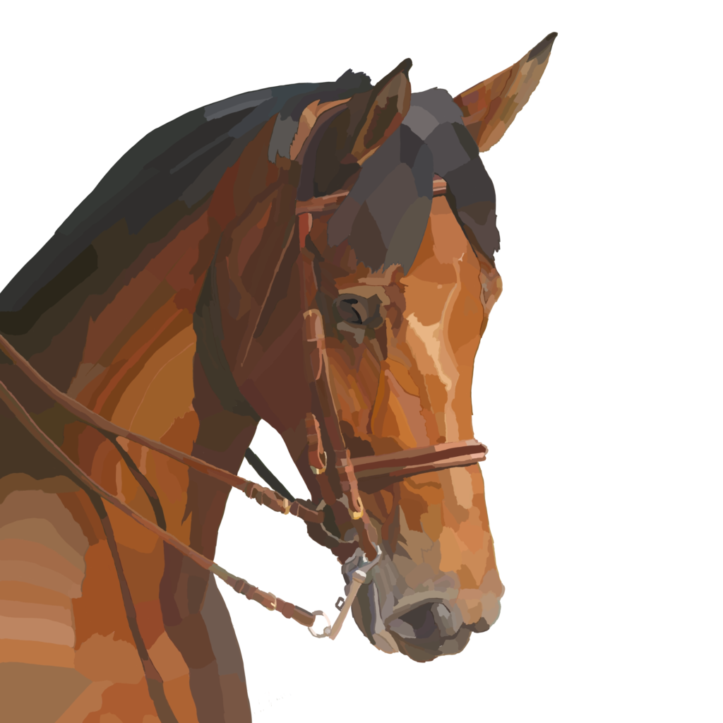 Dessin, numérique, cheval, animal de compagnie