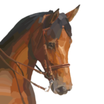 Dessin, numérique, cheval, animal de compagnie