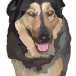 Dessin, numérique, chien, animal de compagnie
