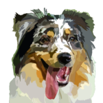 Dessin, numérique, chien, animal de compagnie