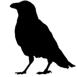 Silhouette, corbeau
