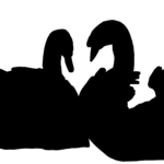 Silhouette, couple, cygnes, fidélité, amour