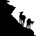 Chamois, montagne, silhouette