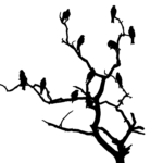 Silhouette, arbre, oiseaux