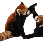Panda roux, jeu