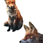 Dessin, numérique, Renard, Couleurs, Entier, Profil